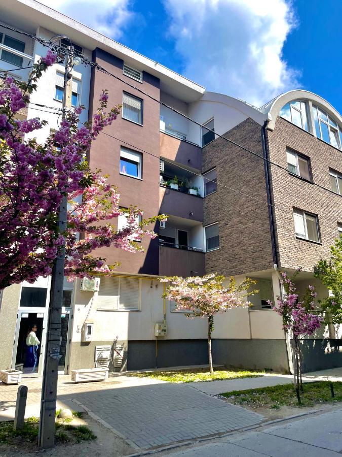 Apartamento Yellow Ns Novi Sad Exterior foto